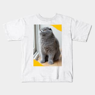 The biue cute cats Kids T-Shirt